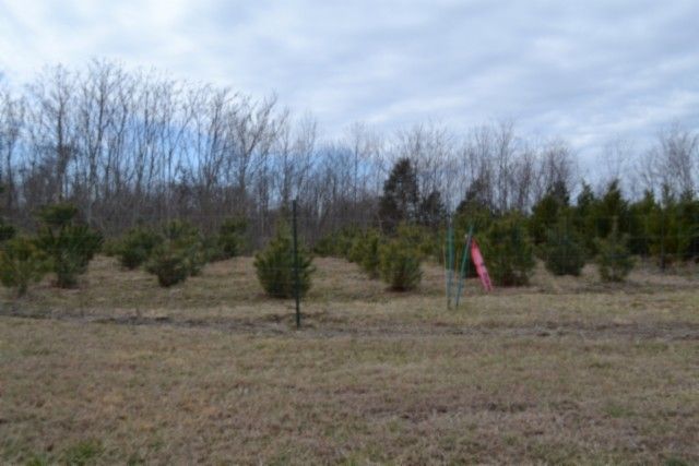 127 Rushing Springs Rd, Monterey, TN 38574