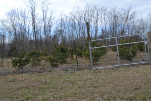 127 Rushing Springs Rd, Monterey, TN 38574