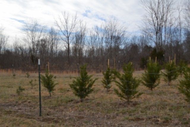 127 Rushing Springs Rd, Monterey, TN 38574