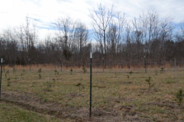 127 Rushing Springs Rd, Monterey, TN 38574