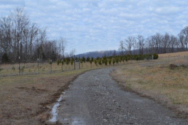 127 Rushing Springs Rd, Monterey, TN 38574