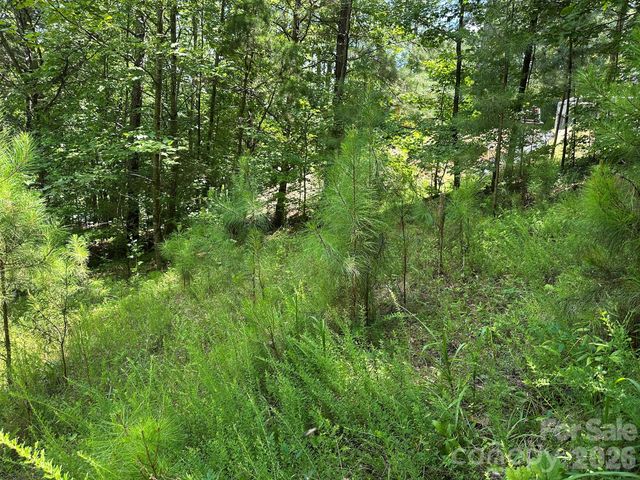 547 Stewart Rock Road, Stony Point, NC 28678