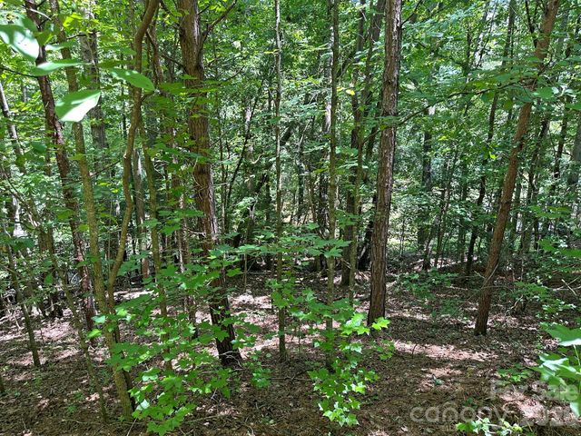 547 Stewart Rock Road, Stony Point, NC 28678