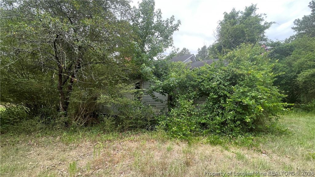 5041 Sanderosa Road, Fayetteville, NC 28312 — photo 4