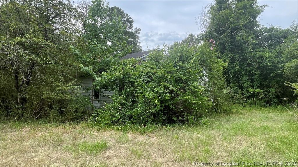 5041 Sanderosa Road, Fayetteville, NC 28312 — photo 5
