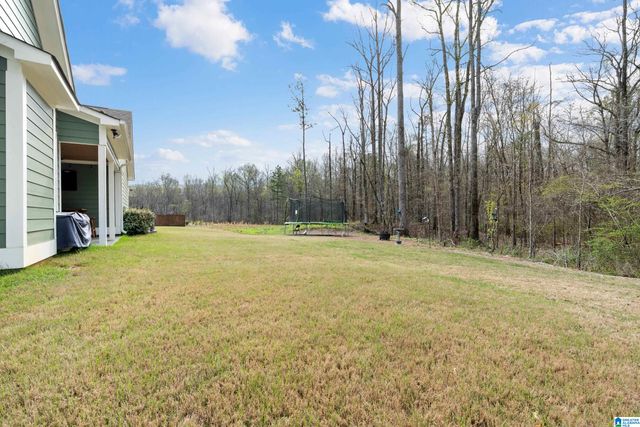 2448 MURPHY PASS, Hoover, AL 35244