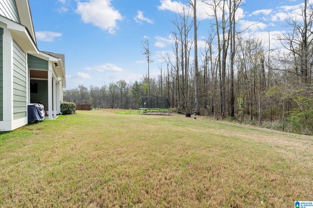 2448 MURPHY PASS, Hoover, AL 35244