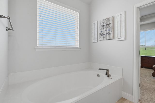 15005 Lost Wagon Street, Justin, TX 76247