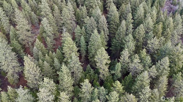 817 Dominion Springs Way, Colville, WA 99114