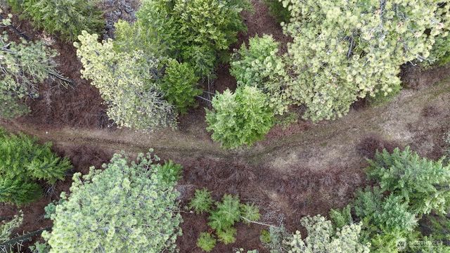 817 Dominion Springs Way, Colville, WA 99114