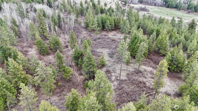 817 Dominion Springs Way, Colville, WA 99114