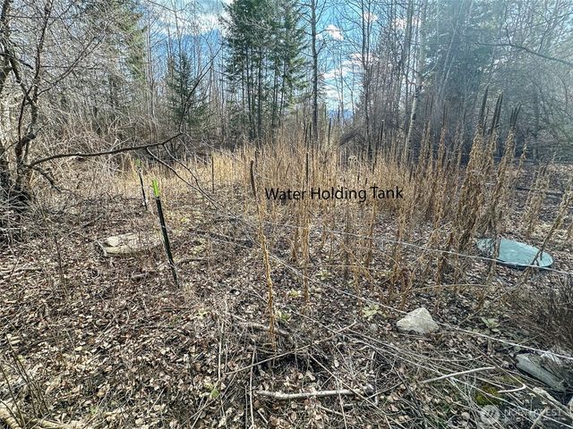 817 Dominion Springs Way, Colville, WA 99114