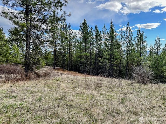 817 Dominion Springs Way, Colville, WA 99114