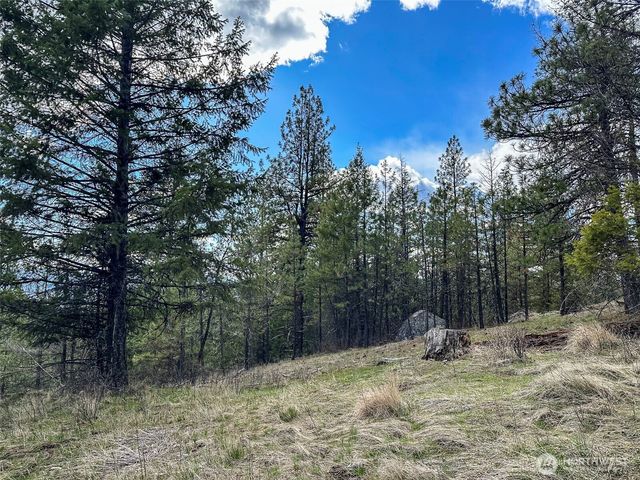 817 Dominion Springs Way, Colville, WA 99114