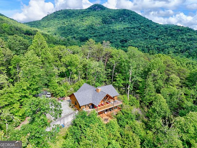 331 Black Bear Den Road, Clayton, GA 30525