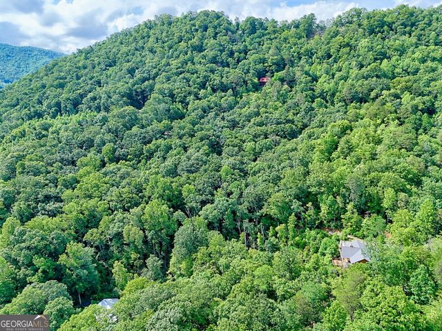 331 Black Bear Den Road, Clayton, GA 30525