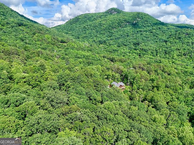 331 Black Bear Den Road, Clayton, GA 30525