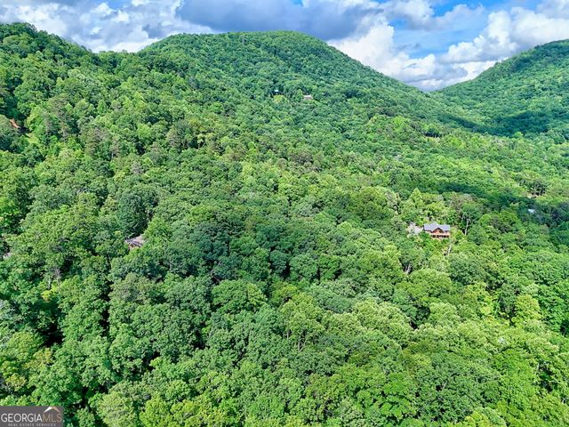 331 Black Bear Den Road, Clayton, GA 30525