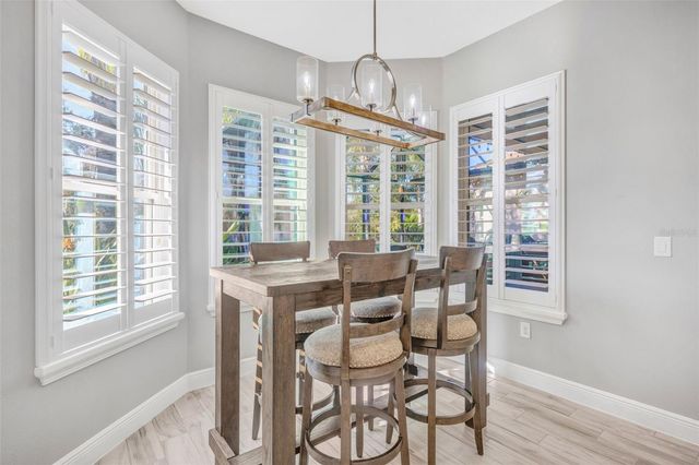 30552 IVY FORGE COURT, Wesley Chapel, FL 33543