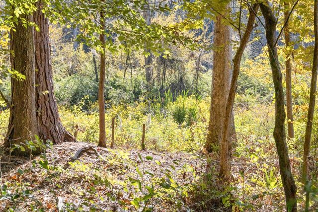 521 Conrad Hills Road, Havana, FL 32333