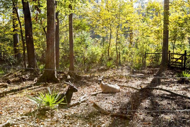 521 Conrad Hills Road, Havana, FL 32333