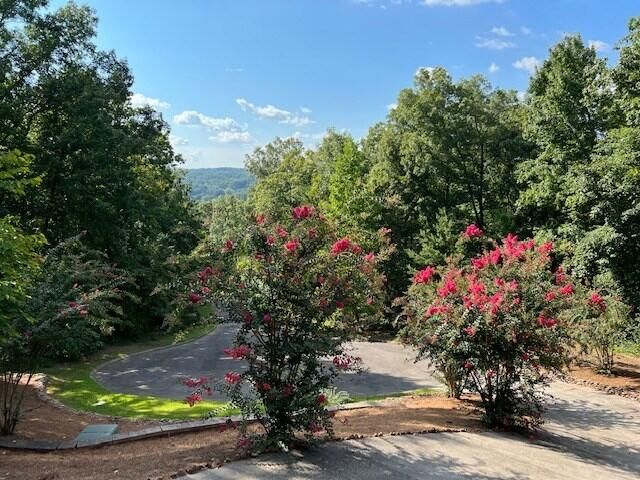 459 Hutcherson Drive, Rocky Face, GA 30740