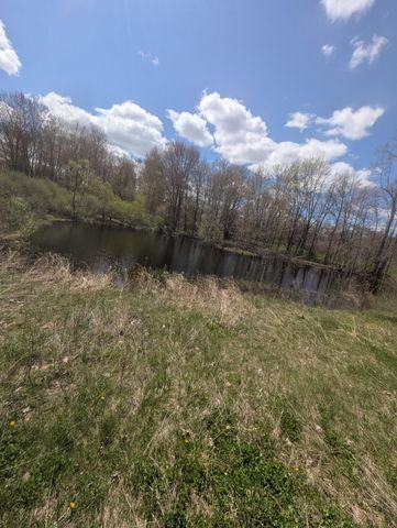 950 W 40th Street, Sherman Twp - Newaygo, MI 49412