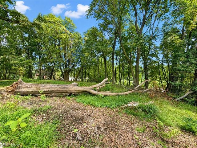 238 Nieman Street, Akron, OH 44305