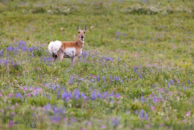 22 Porcupine, Wilsall, MT 59086