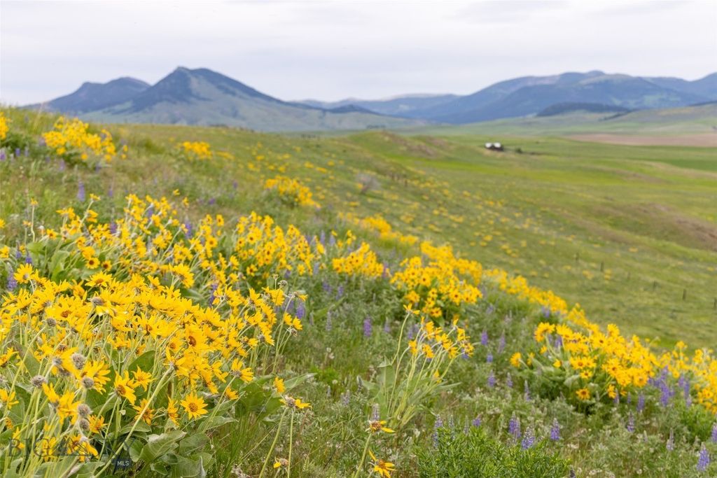 22 Porcupine, Wilsall, MT 59086 photo 76