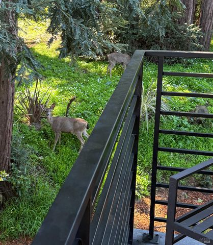 93 Magnolia Ave, Larkspur, CA 94939