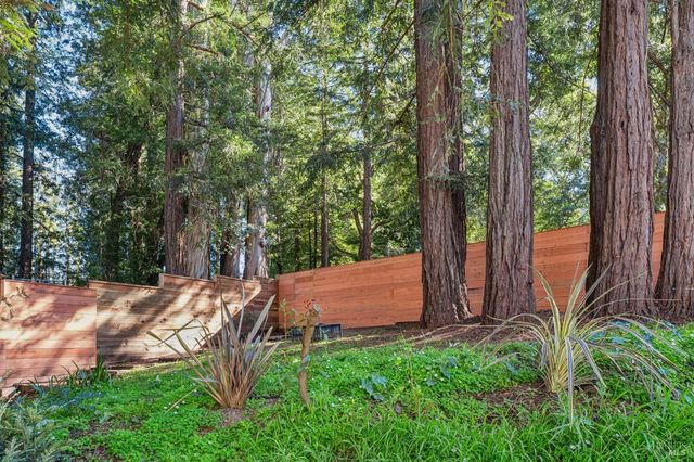 93 Magnolia Ave, Larkspur, CA 94939