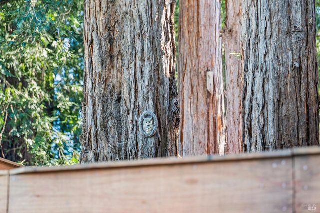 93 Magnolia Ave, Larkspur, CA 94939