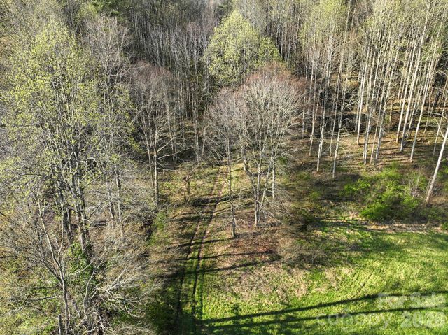 3041 Bald Mountain Road, Burnsville, NC 28714