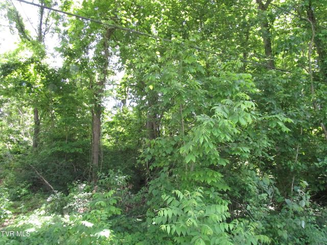 00 Shenandoah Drive, Johnson City, TN 37601