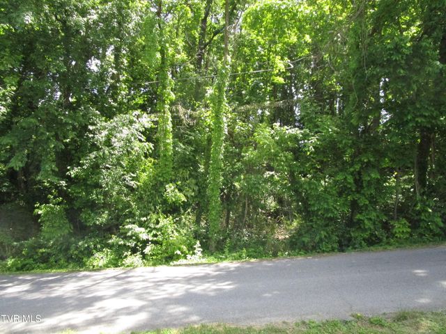 00 Shenandoah Drive, Johnson City, TN 37601