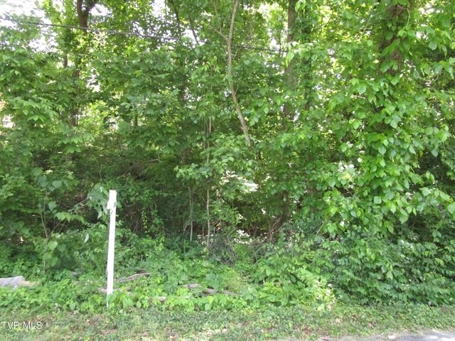 00 Shenandoah Drive, Johnson City, TN 37601