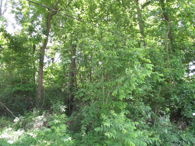00 Shenandoah Drive, Johnson City, TN 37601