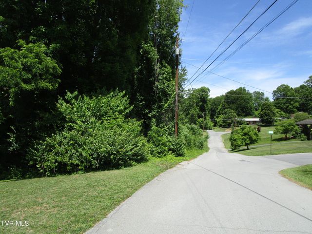 00 Shenandoah Drive, Johnson City, TN 37601