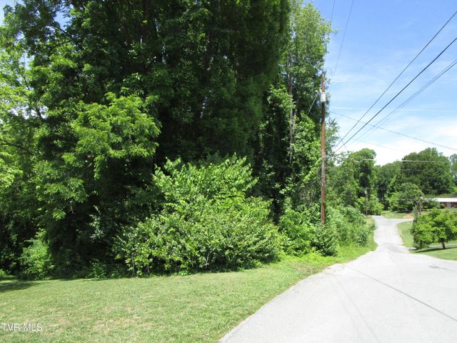00 Shenandoah Drive, Johnson City, TN 37601