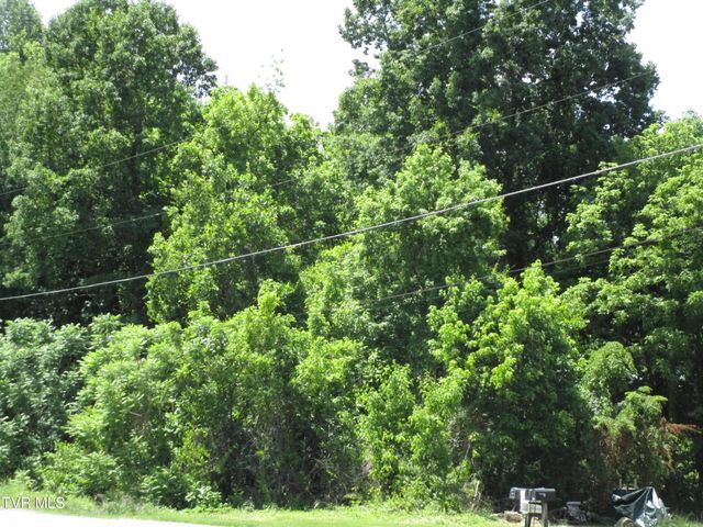 00 Shenandoah Drive, Johnson City, TN 37601