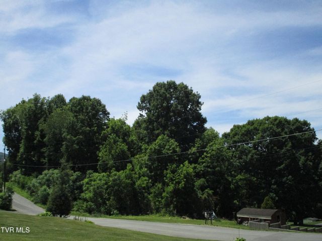 00 Shenandoah Drive, Johnson City, TN 37601