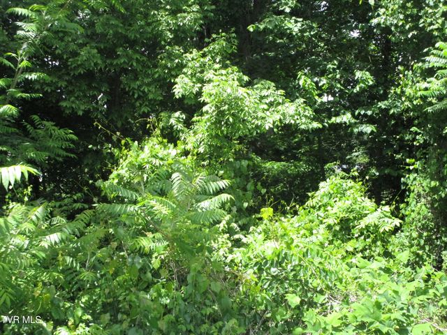 00 Shenandoah Drive, Johnson City, TN 37601