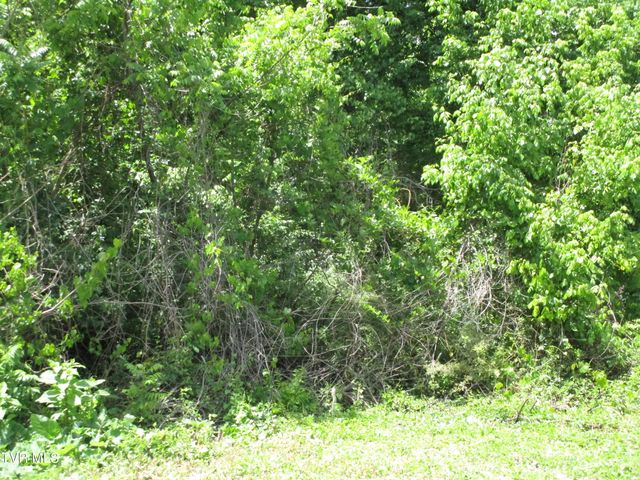 00 Shenandoah Drive, Johnson City, TN 37601
