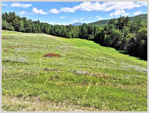 206 River Road, Groton, NH 03266