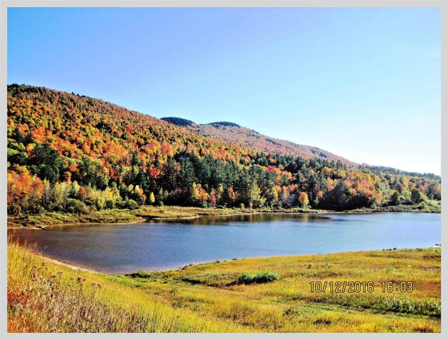 206 River Road, Groton, NH 03266