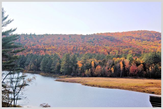 206 River Road, Groton, NH 03266