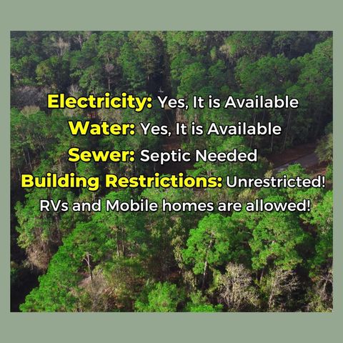 - Lakeview Estates Drive, Coldspring, TX 77331