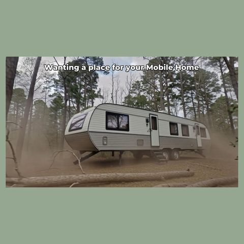 - Lakeview Estates Drive, Coldspring, TX 77331