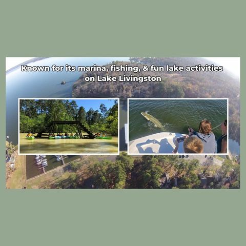 - Lakeview Estates Drive, Coldspring, TX 77331